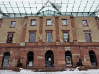 Nordmanntannen aus dem Stadtwald: Selberschlagen am 13. Dezember möglich