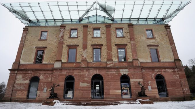 Nordmanntannen aus dem Stadtwald: Selberschlagen am 13. Dezember möglich