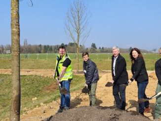 Zentrale Grünanlage in Bierstadt Nord erhält 83 neue Bäume